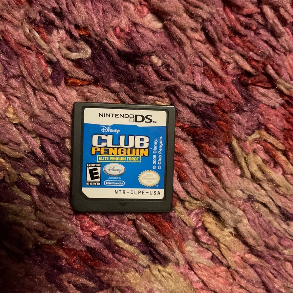 Dsi game